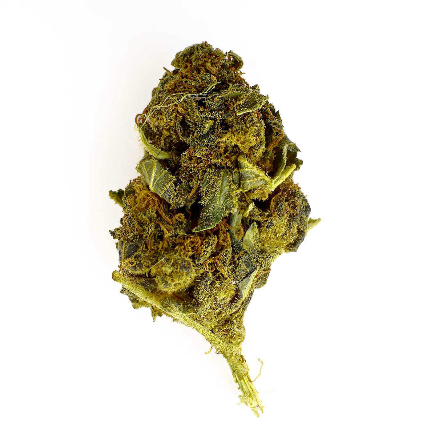 Royal Cheese - CBD Blüte 17,4%