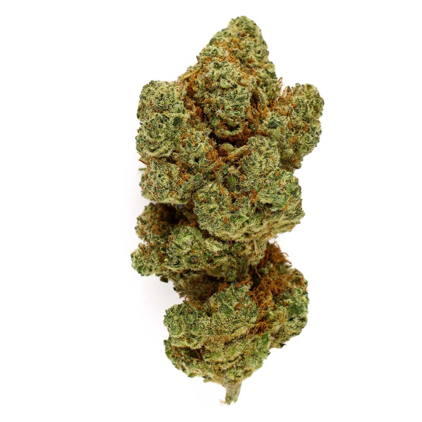 Big Bud - CBD-Blüte 16,4%