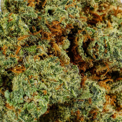 Big Bud - CBD-Blüte 16,4%