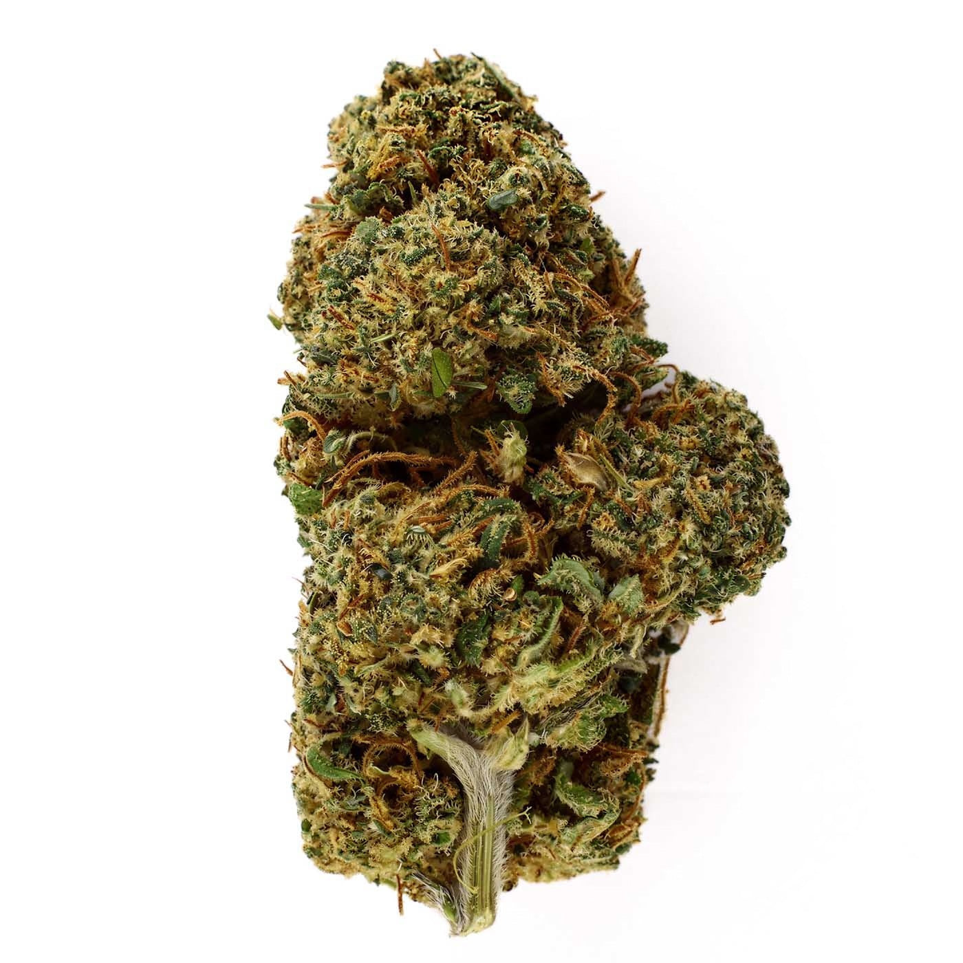 Lemon Haze - CBD Flower 9.7%