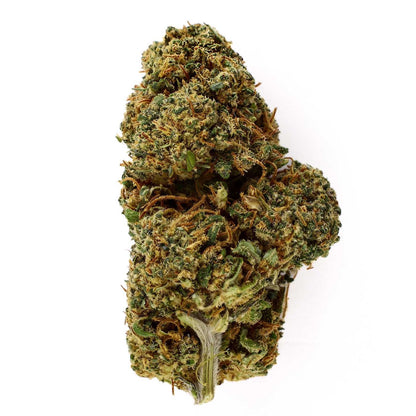 Lemon Haze - CBD Flower 9.7%
