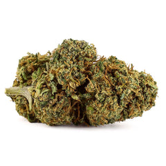 Lemon Haze - CBD-Blüte 9,7%