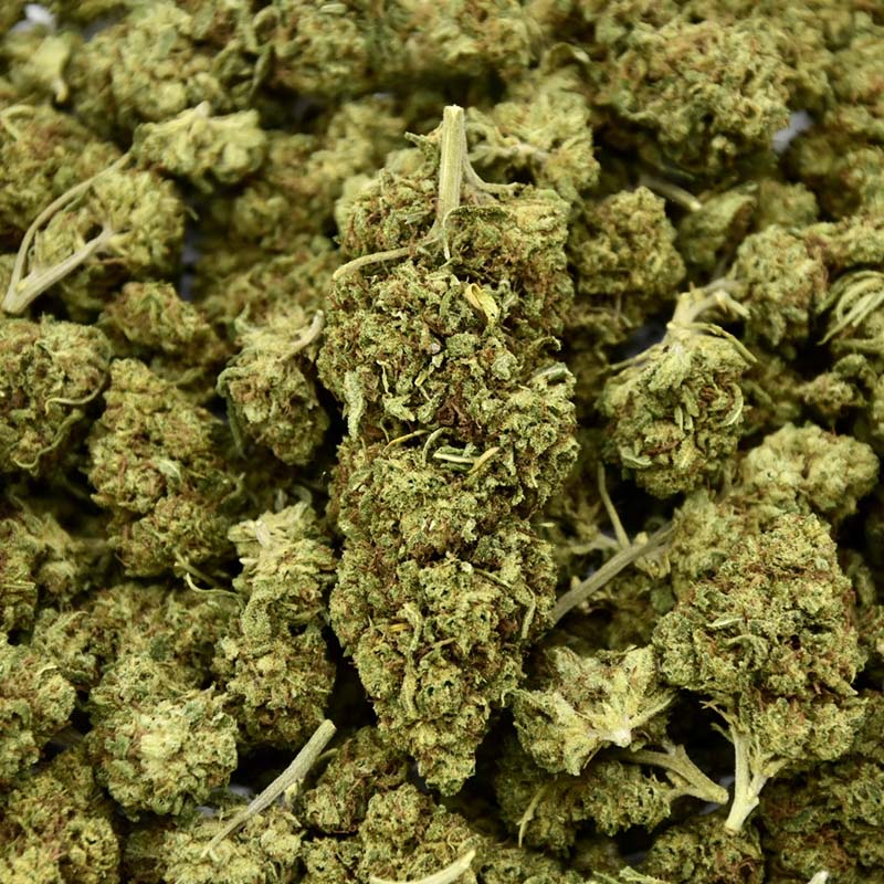 Honey Cream Indoor - Fleur CBD 21%