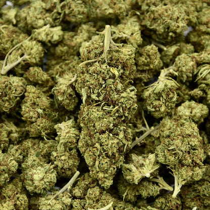 Honey Cream Indoor - Fleur CBD 21%