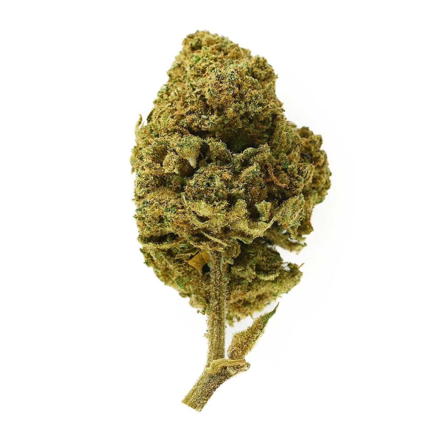 Honey Cream Indoor - CBD Flower 