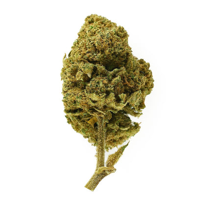 Honey Cream Indoor - CBD Flower 