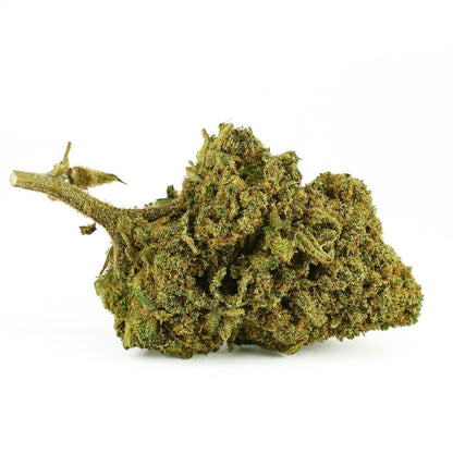 Honey Cream Indoor - CBD Flower 
