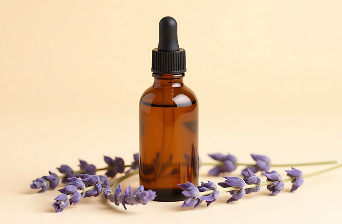Lavendel