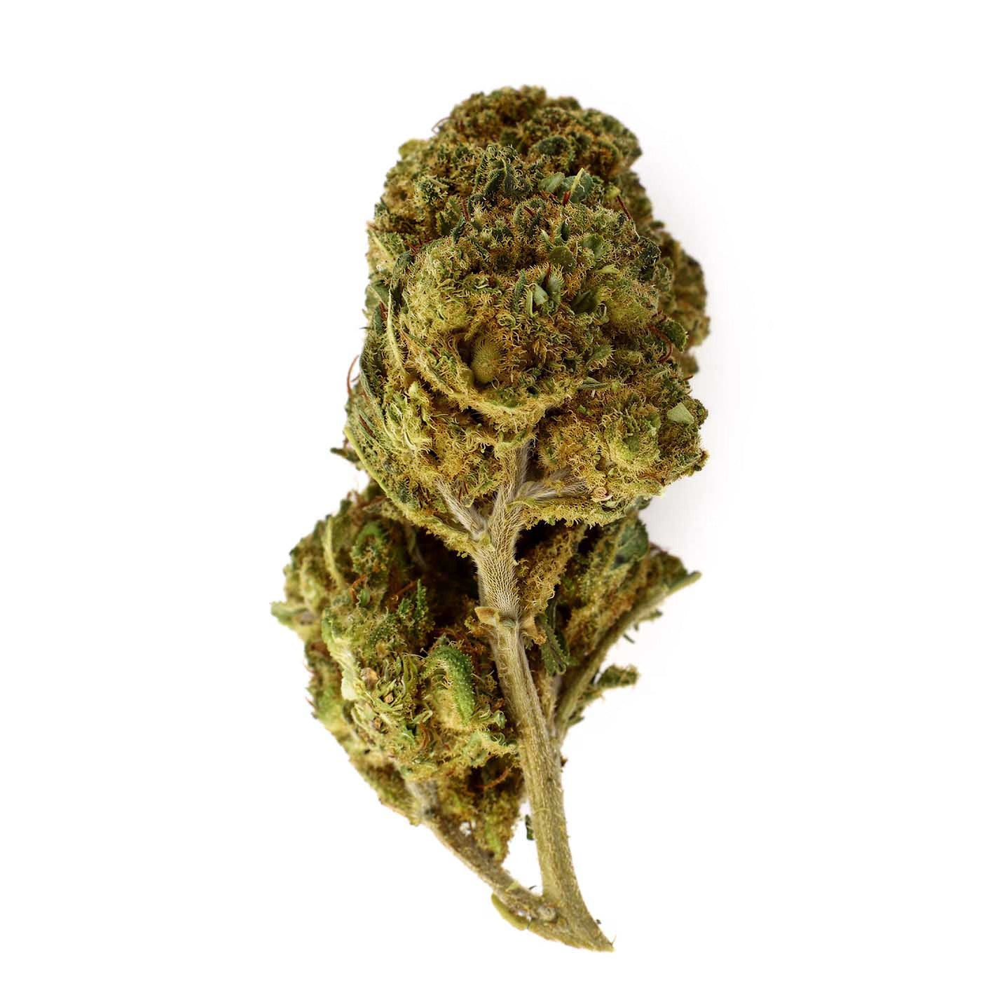 Hulk Berry – CBD-Blüte 21 %