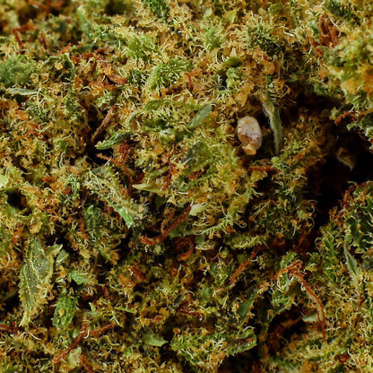 Hulk Berry – CBD-Blüte 21 %