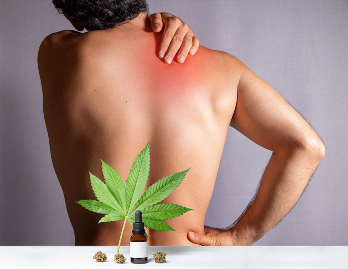 CBD bei Morbus Bechterew