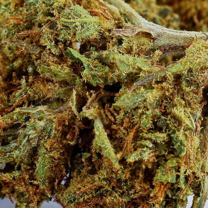 Mandarine Indoor - CBD Flower 19%