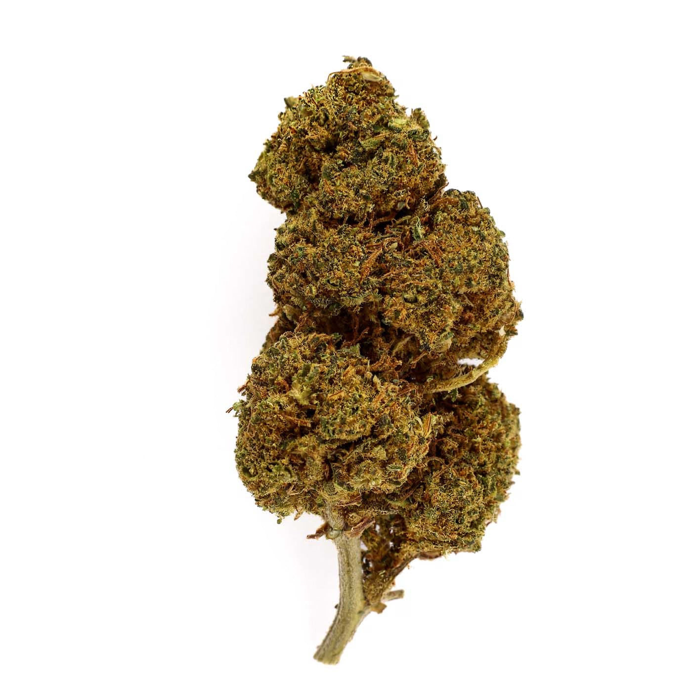 Mandarine Indoor - CBD Flower 19%