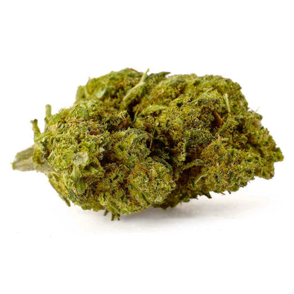 Mimosa - Fleur CBD 23%