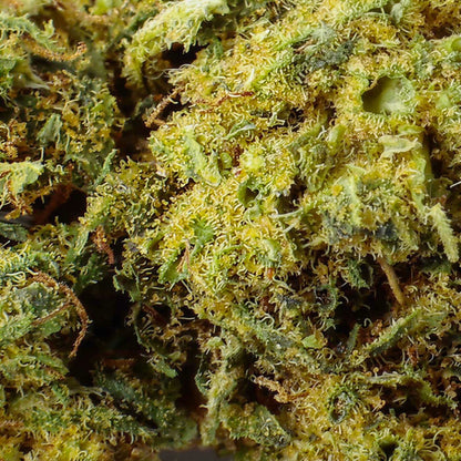 Mimosa - Fleur CBD 23%
