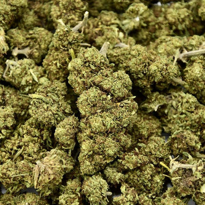 Mimosa - Fleur CBD 23%