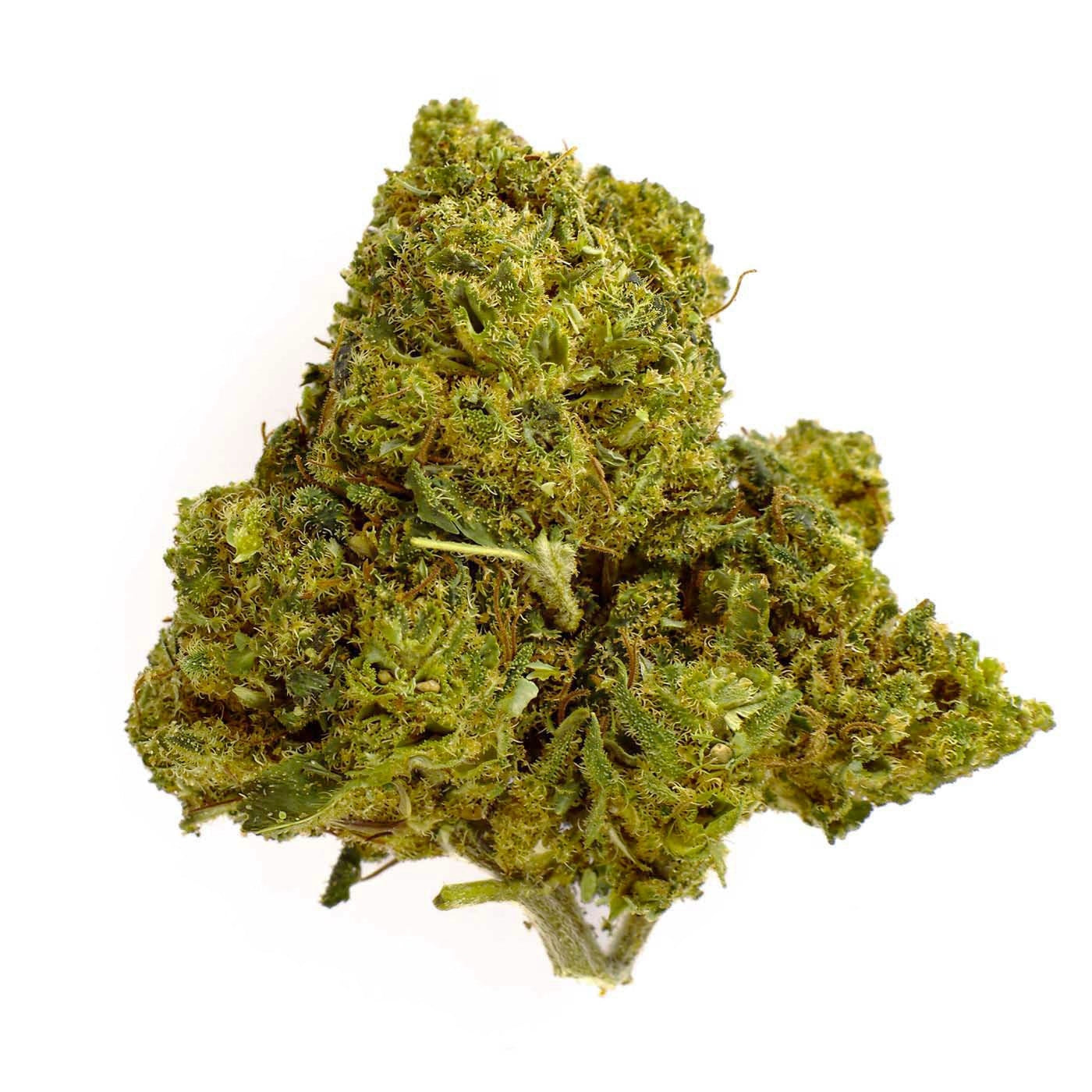 Mimosa - Fleur CBD 23%