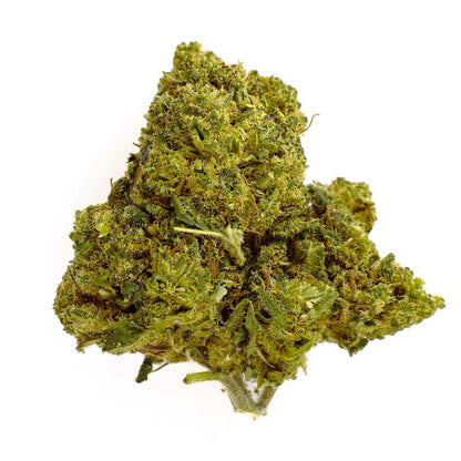 Mimosa - Fleur CBD 23%