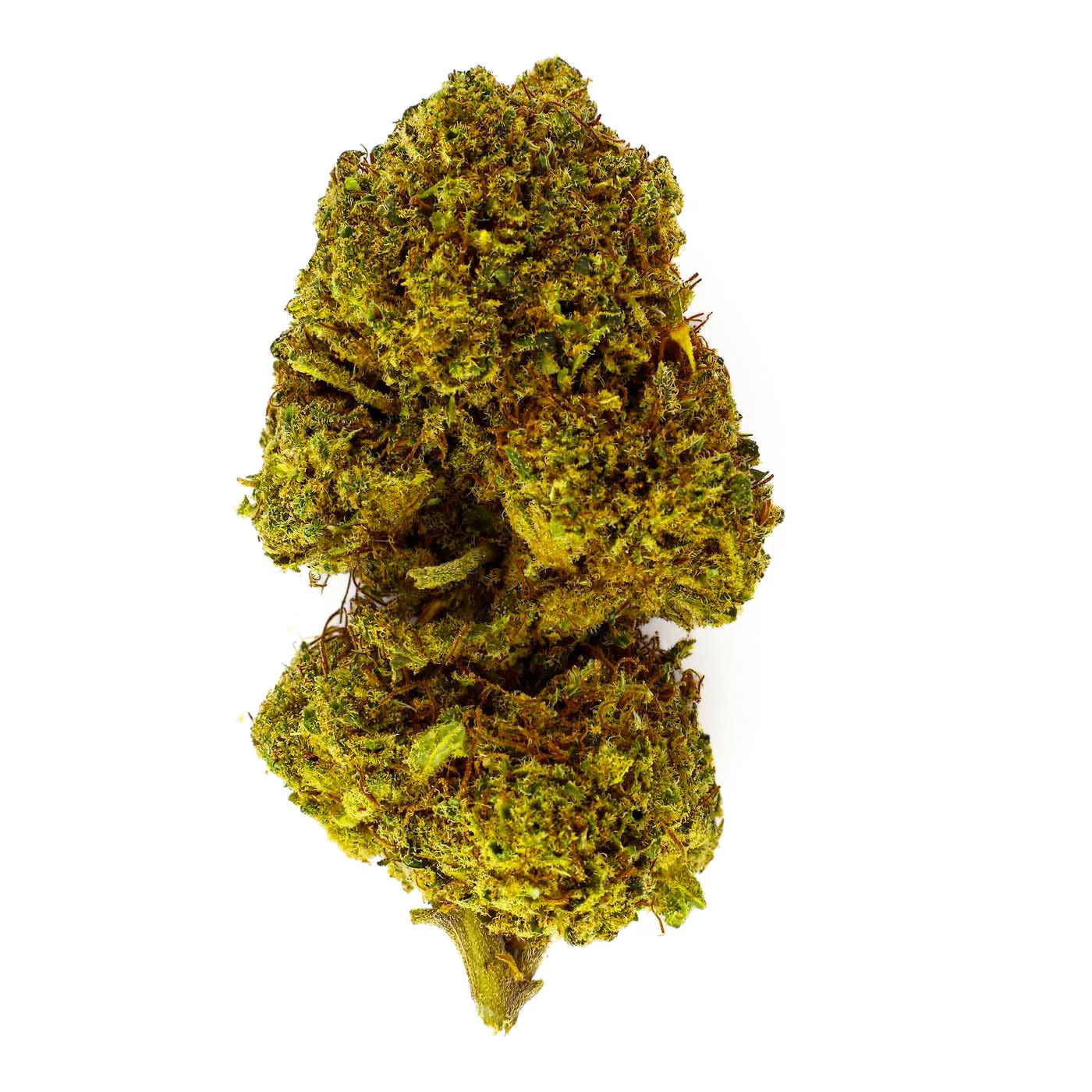 Orangello Indoor - CBD Flower 18%