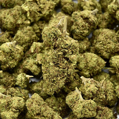Orangello Indoor - CBD Flower 18%