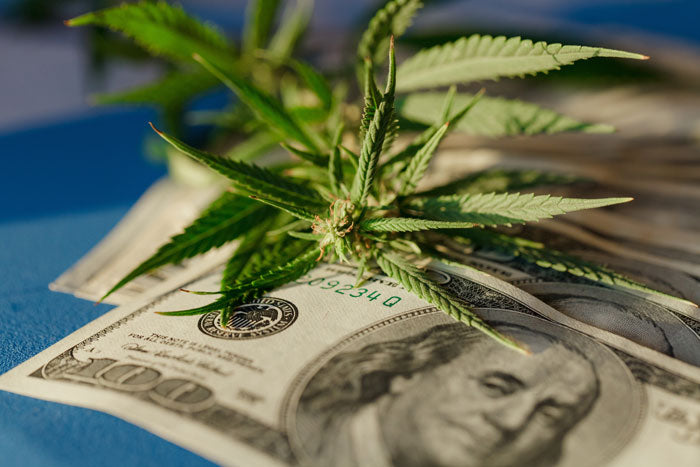 CBD-Preis