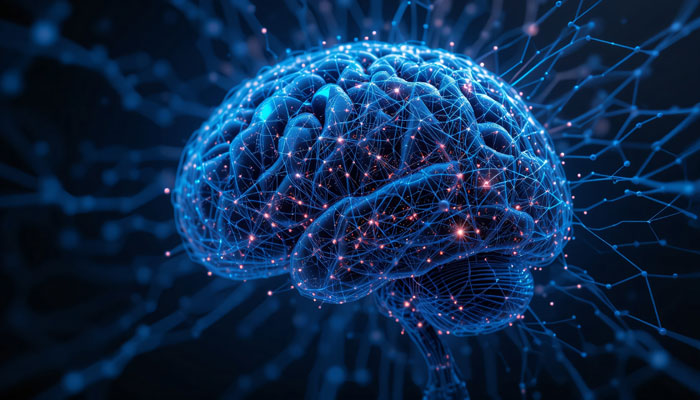 formation de nouveaux neurones