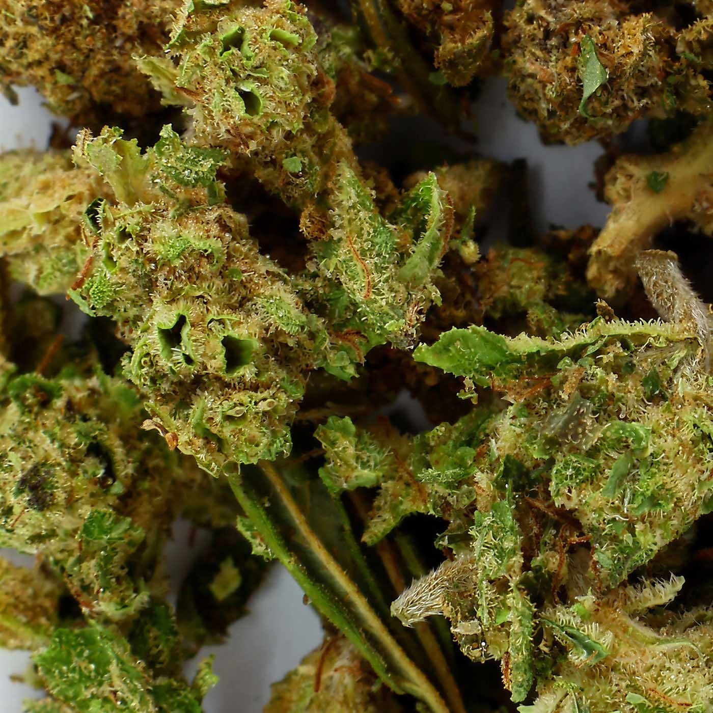 Trim CBD 12% - Premium Flowers up to 100G
