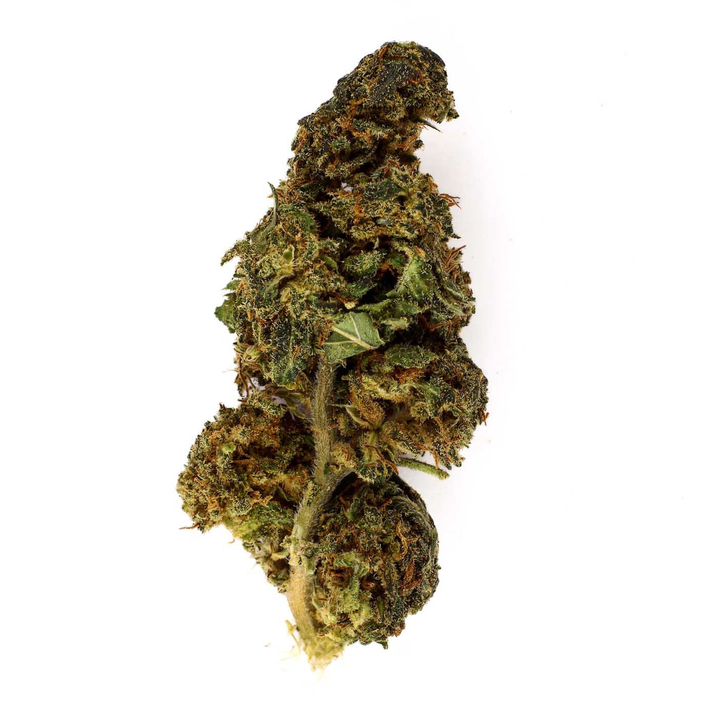 Watermelon Indoor - CBD Flower 21%