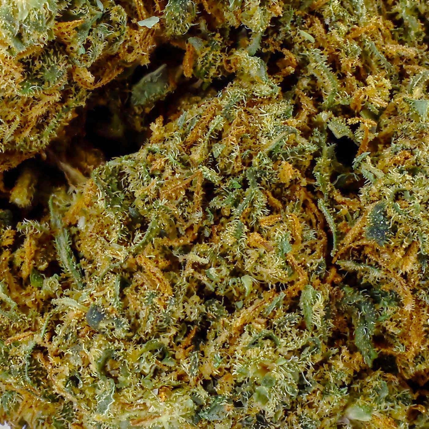 White Berry - CBD Flower 19%