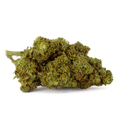 Berry White - 12% CBD Blüte