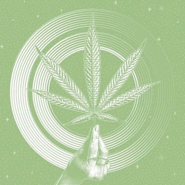 Blog CBD und legales Cannabis - Famous CBD