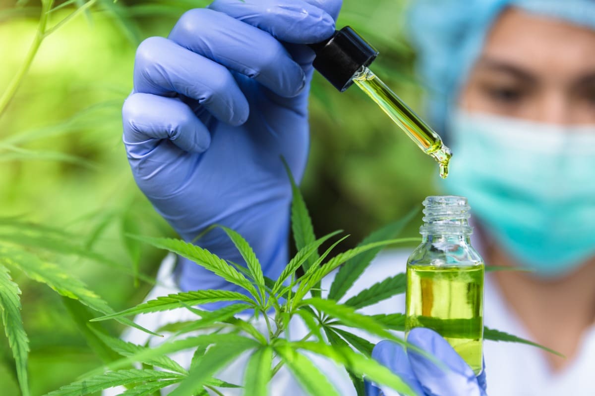 traitement des maladies du système nerveux à l'aide du cbd