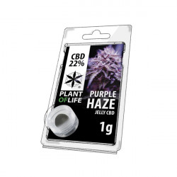 Jelly CBD PURPPLE HAZE 22% 1G