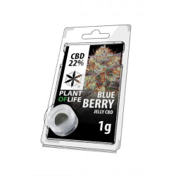 Jelly CBD BLUEBERRY 22% 1G