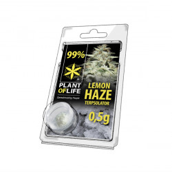 Terpsolator 99% CBD - Lemon Haze - 500mg