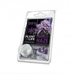 Terpsolator 99% CBD - Purple Haze - 500mg