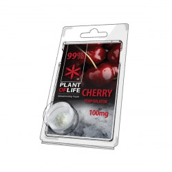 Terpsolator 99% CBD - Cherry - 100mg